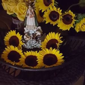 Meet your Posher, Veronica